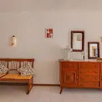 فيلة Mourisca *